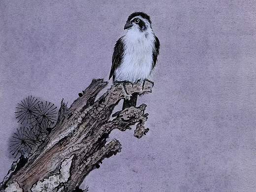 《明月高枝图》68✘34cm  七绝◎题图 （文/