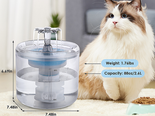 亚马逊主图设计-猫咪饮水机-开箱视频