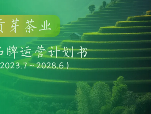 从0到1打造茶叶品牌,25000字超详细!