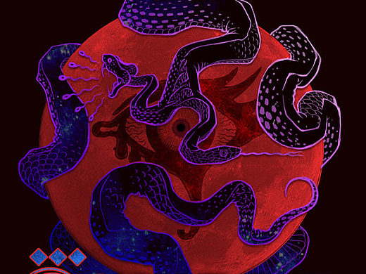 两栖爬行类动物插画设计