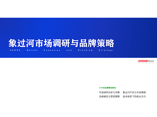 软件开发企业市场调研与品牌策略