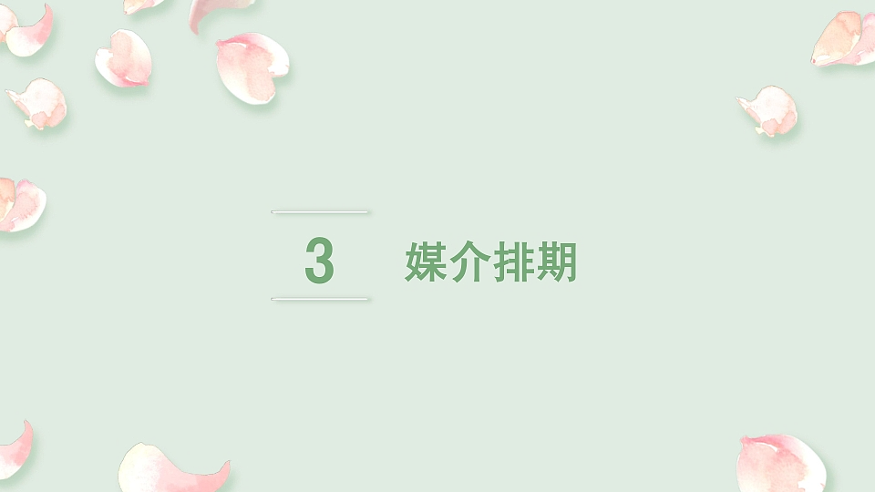 品牌策划案类（参赛作品）《年轻就要不一yang》（图ZMzk4NTMwMjQw） - 其他 - 站酷设计师Z923782994原创素材 - 站酷ZCOOL