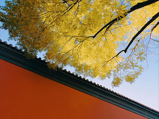 北平之秋iPhone版