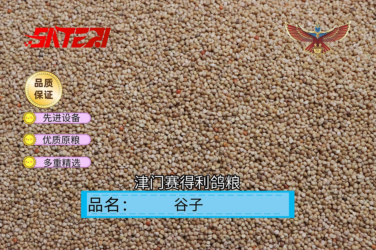 津门赛得利鸽粮产品展示设计（图ZMzk4NTYzNjUy） - 商业插画 - 站酷设计师那个小高哪里都好原创素材 - 站酷ZCOOL