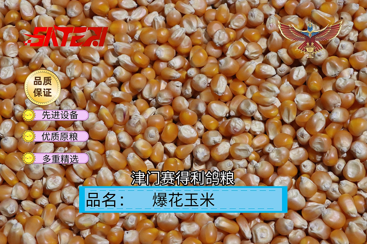 津门赛得利鸽粮产品展示设计（图ZMzk4NTY0MDg0） - 商业插画 - 站酷设计师那个小高哪里都好原创素材 - 站酷ZCOOL