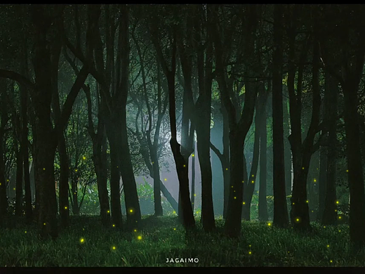 夜间森林萤火虫特效