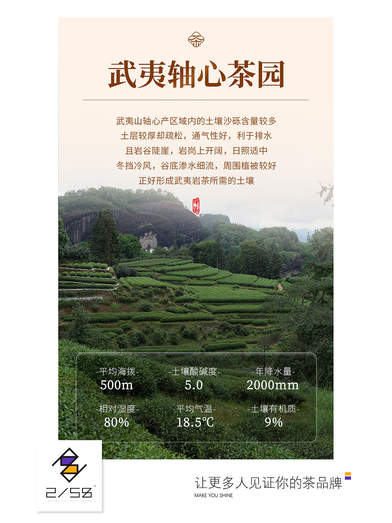 电商详情页|岩茶组合详情页