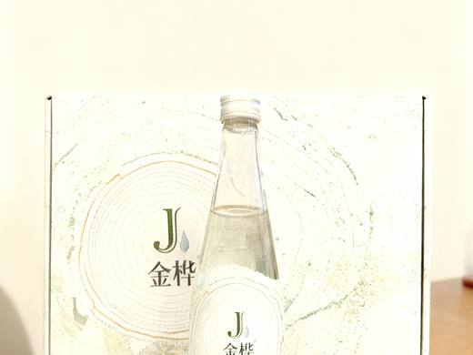 平面图设计LOGO设计