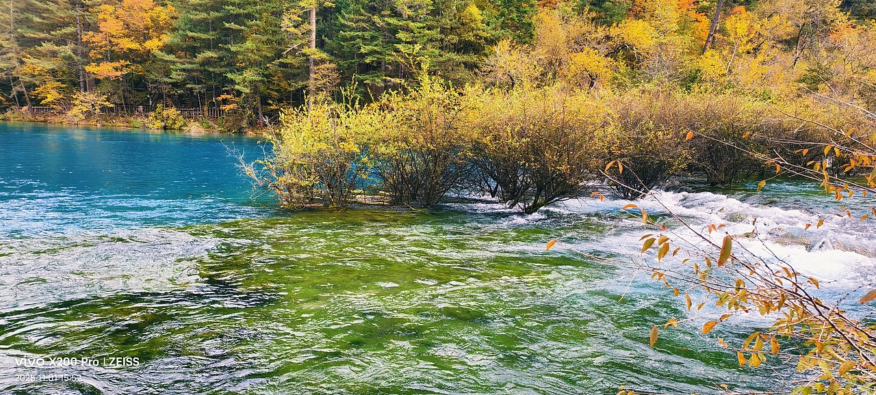 九寨沟的秋天,是一场色彩的幻觉🎨