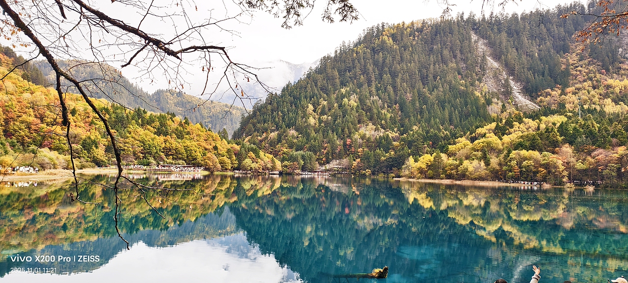 九寨沟的秋天,是一场色彩的幻觉🎨