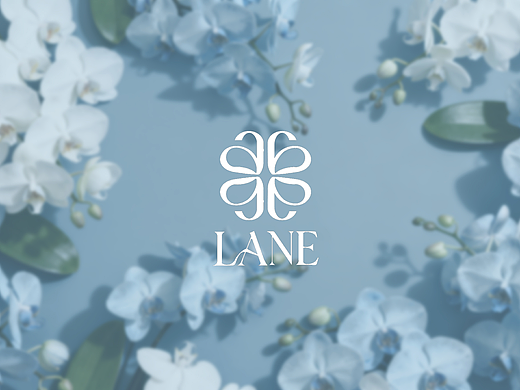 兰逸(LANE)女士香水品牌设计