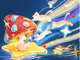 愿每只猫猫都能被这世界温柔善待