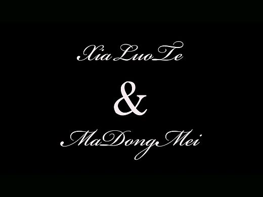 婚礼摄像|婚礼跟拍