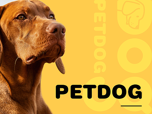 PETDOG 宠物品牌视觉设计 | 萌趣宠物生活品牌识别系统