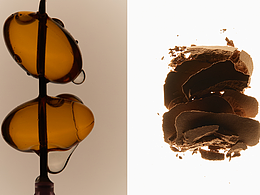 摄影创意｜美妆护肤类产品创意摄影广告