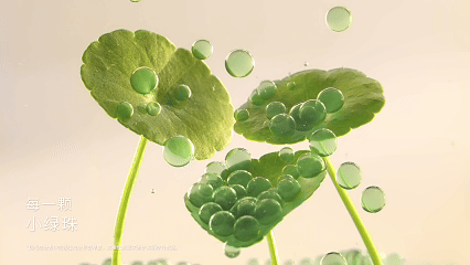 气味探索身体乳平面&视频✖️有食|美妆个护摄影