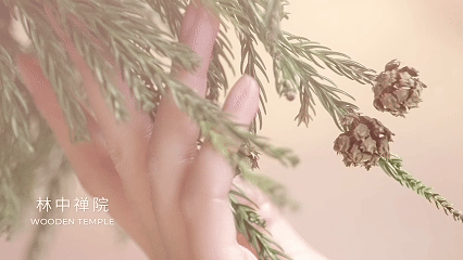 气味探索身体乳平面&视频✖️有食|美妆个护摄影