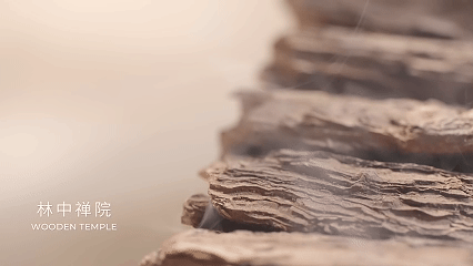 气味探索身体乳平面&视频✖️有食|美妆个护摄影