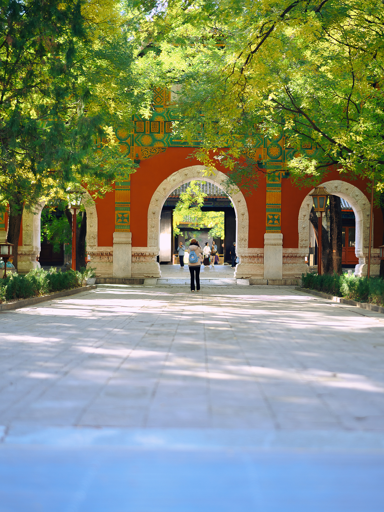 北平之秋相机版📷