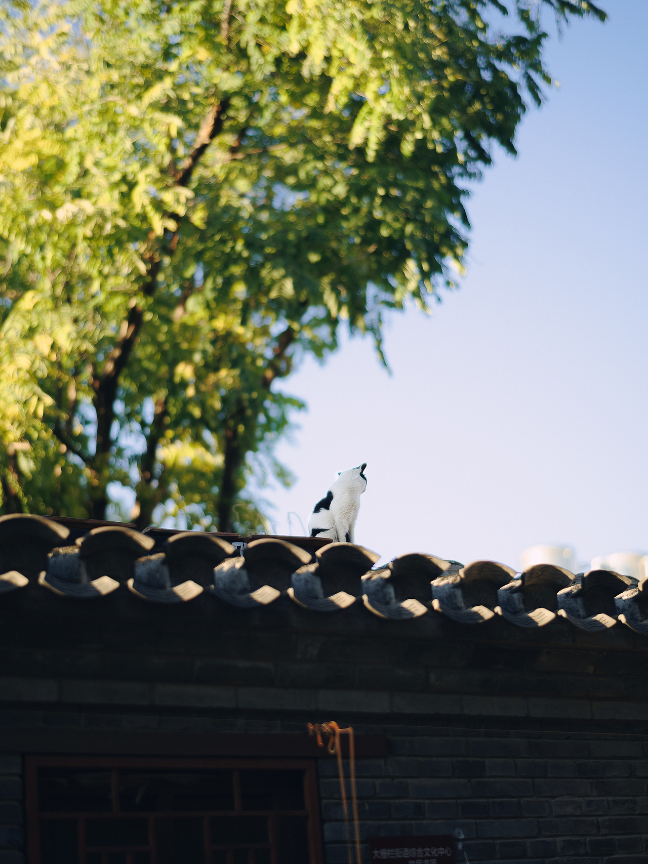 北平之秋相机版📷