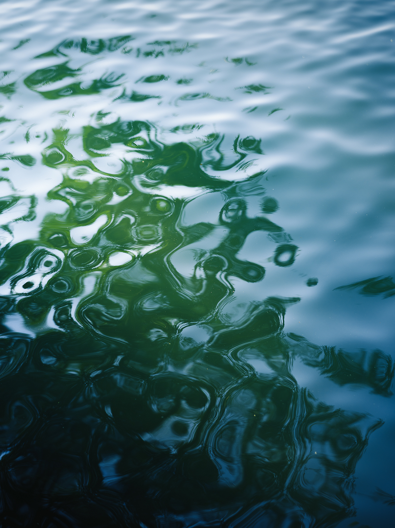 北平之秋相机版📷