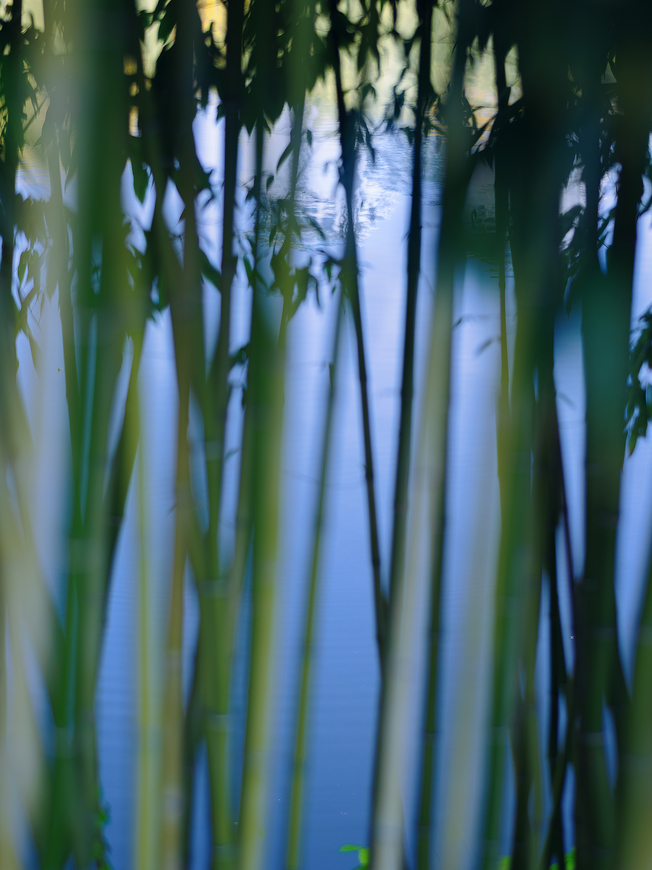 北平之秋相机版📷