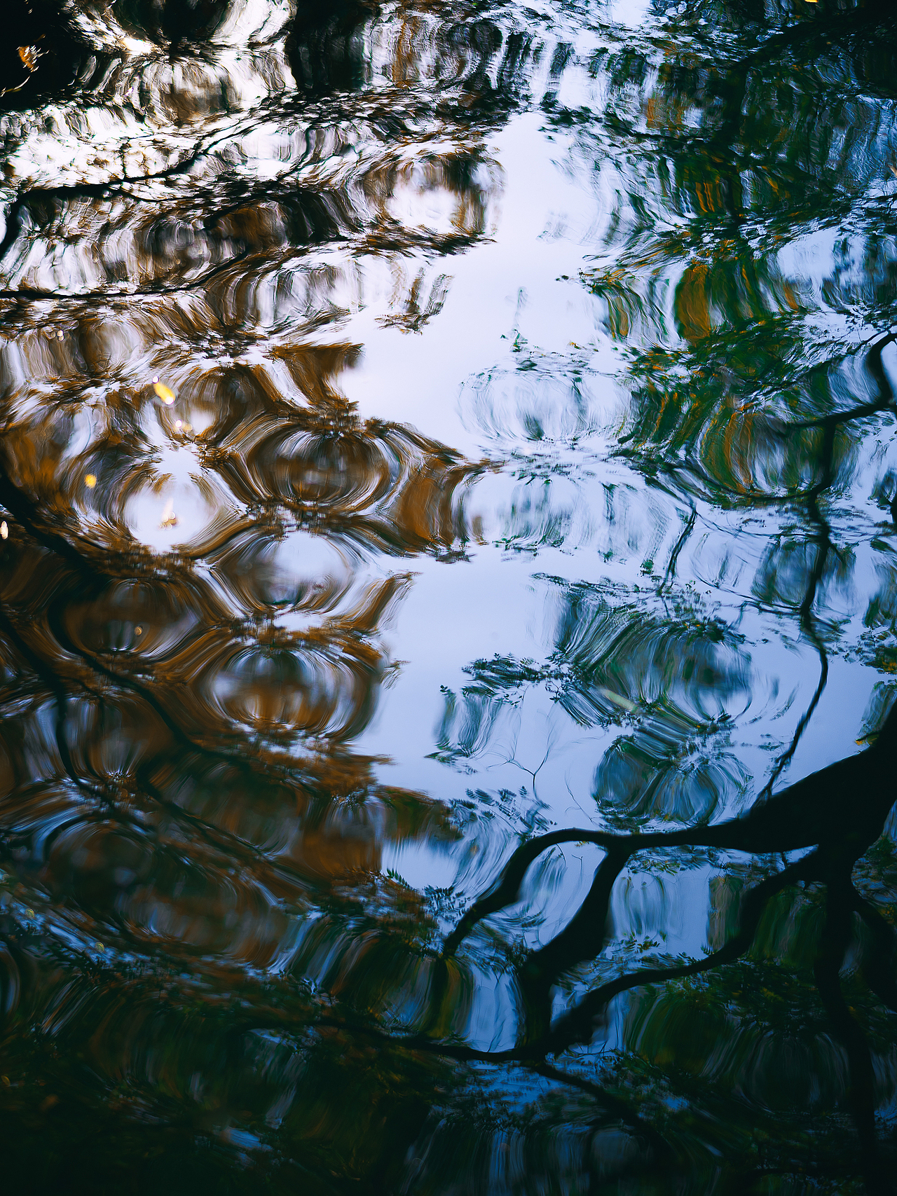 北平之秋相机版📷