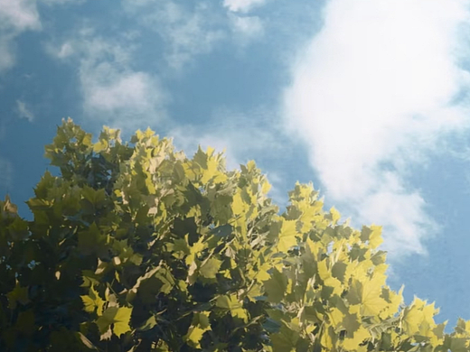 达芬奇调色剪辑视频