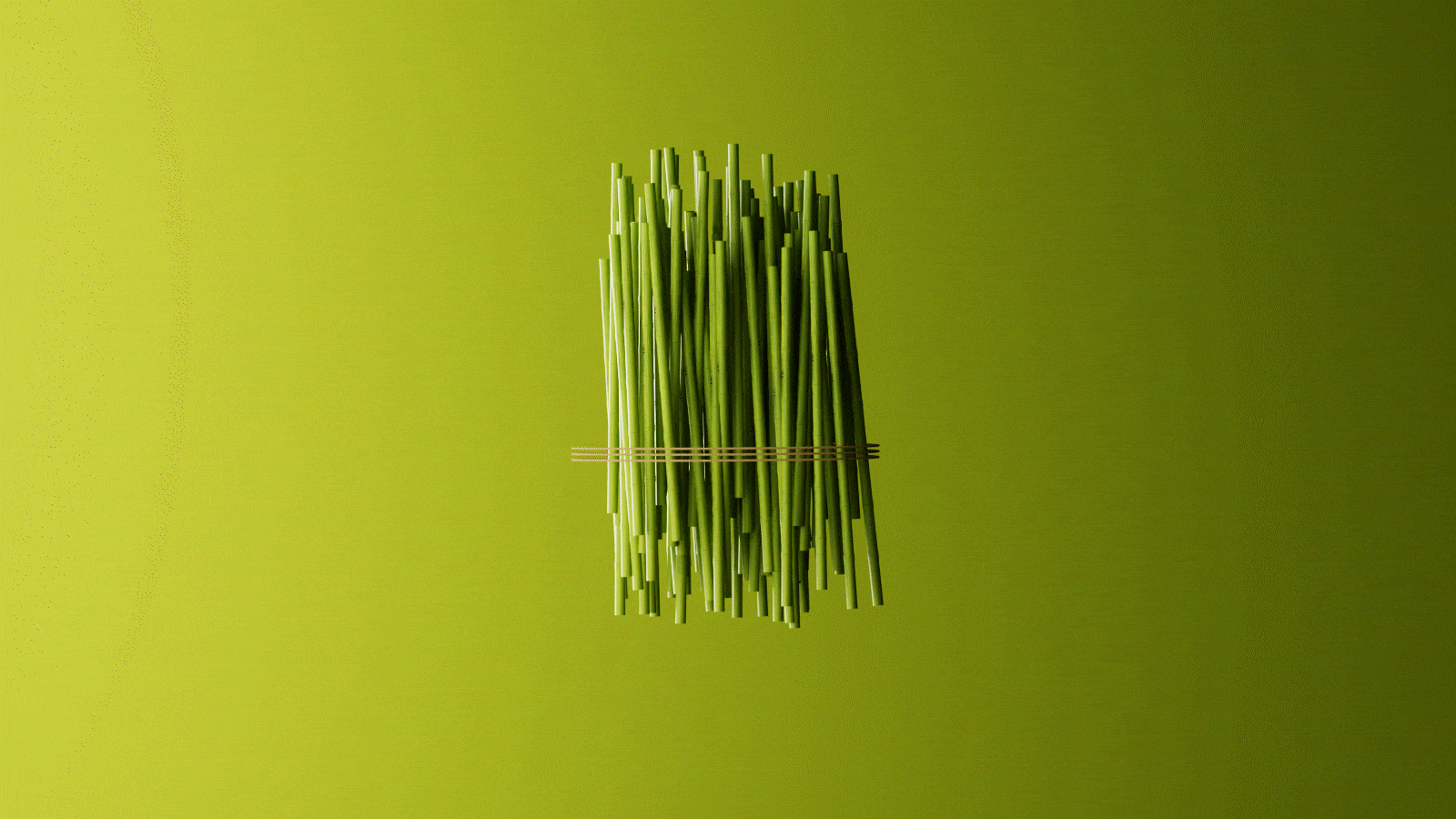 潘婷渲染练习（图ZMzk4NjY2NDMy） - 产品 - 站酷设计师Wheartt原创素材 - 站酷ZCOOL