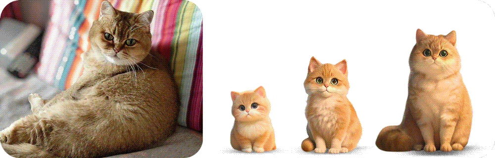 幼年、青年、成年年龄阶段动