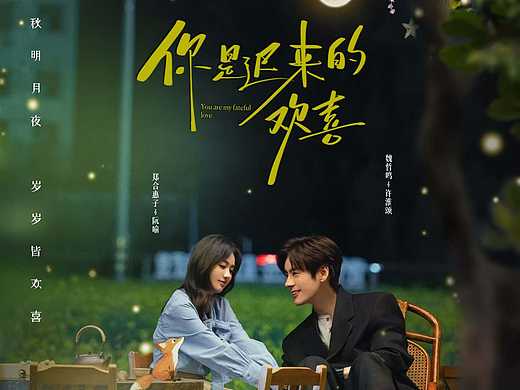 你是迟来的欢喜-关系海报