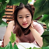 百鸟向荣的头像