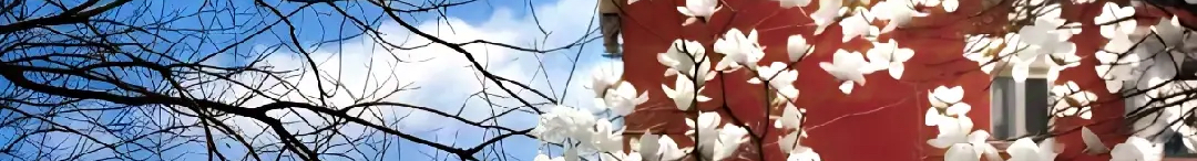 大倉鼠的個(gè)人主頁（封面預(yù)覽） - 主頁封面設(shè)置 - 站酷設(shè)計(jì)師大倉鼠原創(chuàng)素材 - 站酷ZCOOL