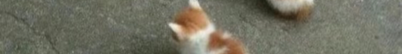 iYoex的个人主页（封面预览） - 主页封面设置 - 站酷设计师iYoex原创素材 - 站酷ZCOOL