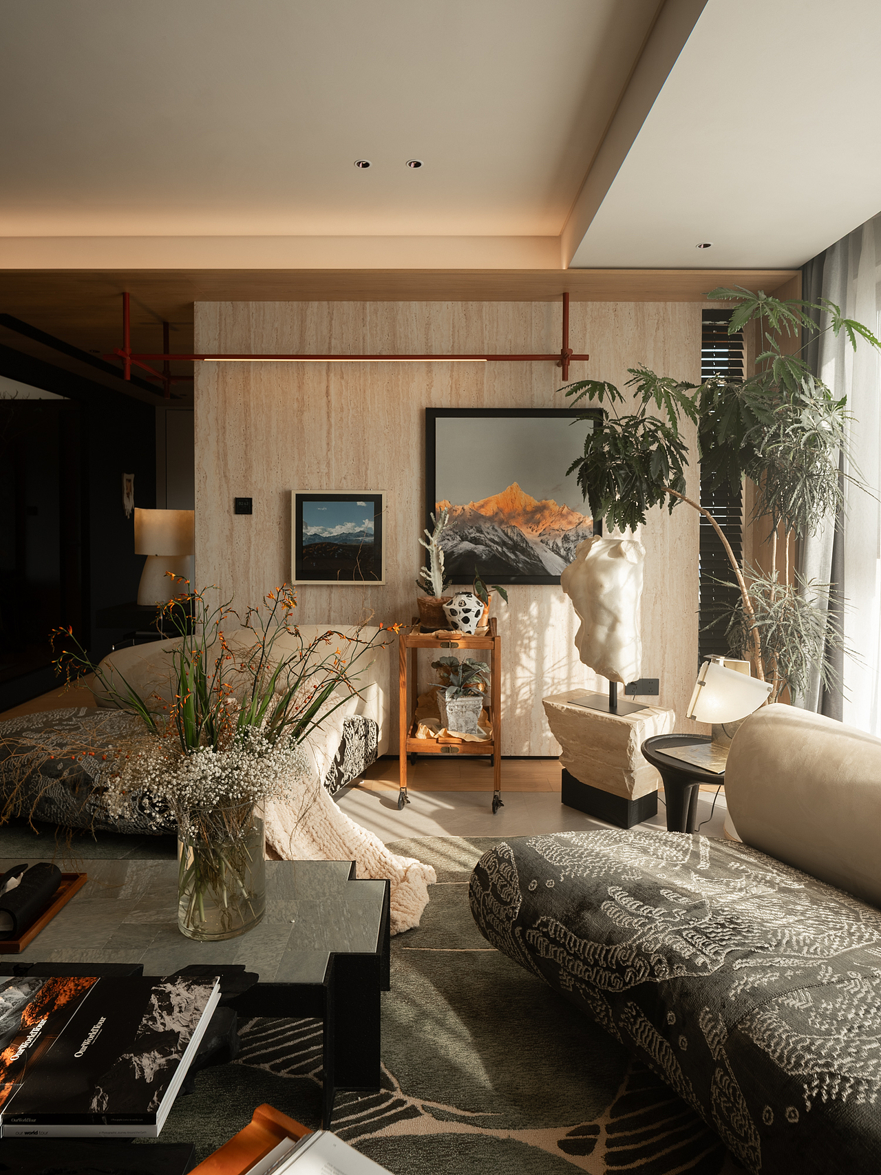 光合作用 │ 暮光浮尘  万物成诗  