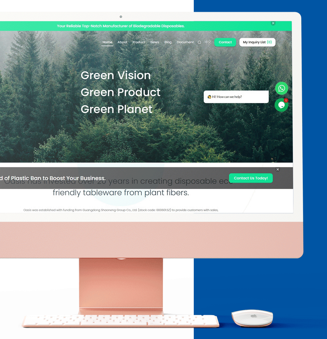 产品摄影|一次性餐盒 x 相机行事