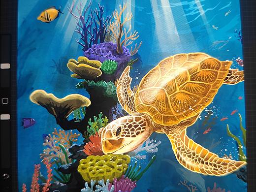 海底世界之海龟