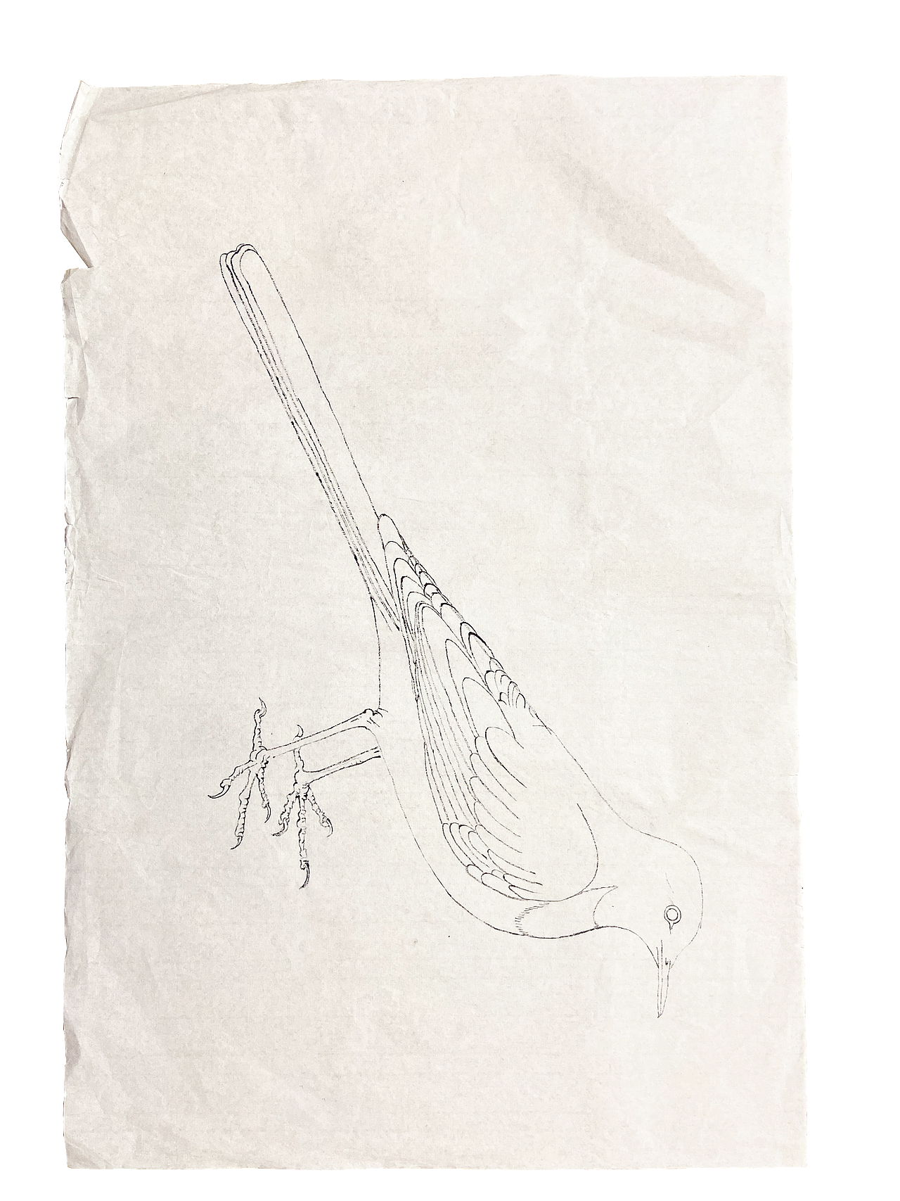 从颤抖的铅笔轨迹到流畅的墨韵流淌（图ZMzk4NzQ3MDI0） - 绘画 - 站酷设计师shuiwun原创素材 - 站酷ZCOOL