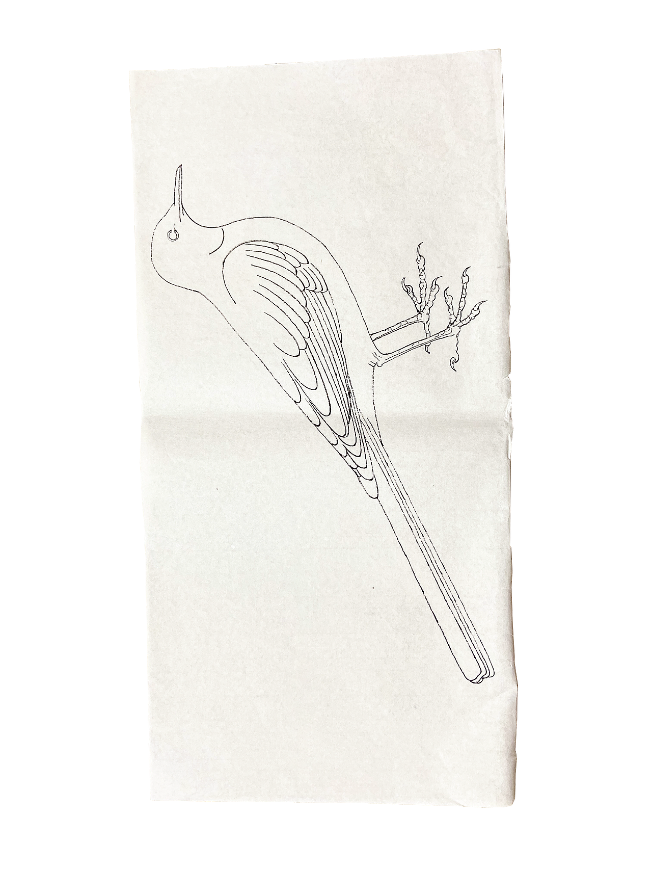 从颤抖的铅笔轨迹到流畅的墨韵流淌（图ZMzk4NzQ3MjAw） - 绘画 - 站酷设计师shuiwun原创素材 - 站酷ZCOOL