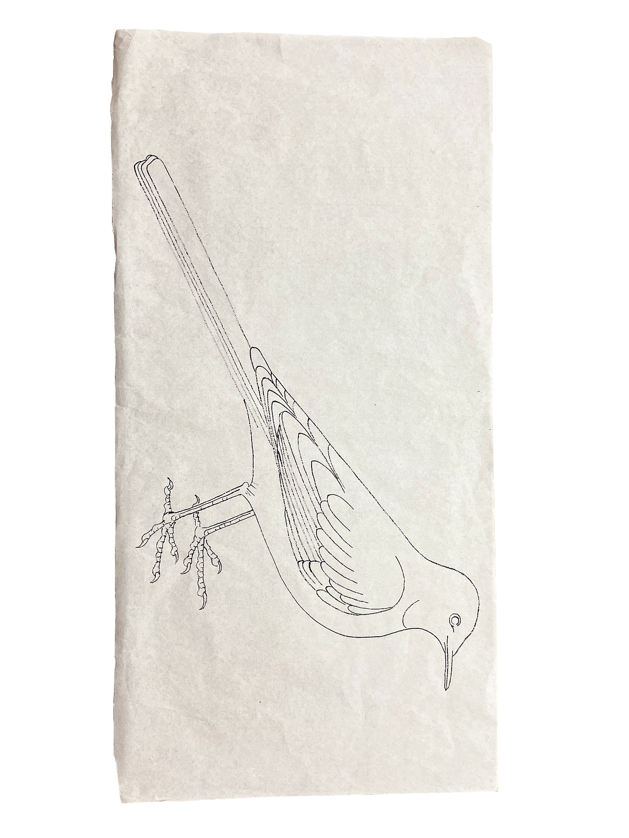 从颤抖的铅笔轨迹到流畅的墨韵流淌（图ZMzk4NzQ3MjIw） - 绘画 - 站酷设计师shuiwun原创素材 - 站酷ZCOOL