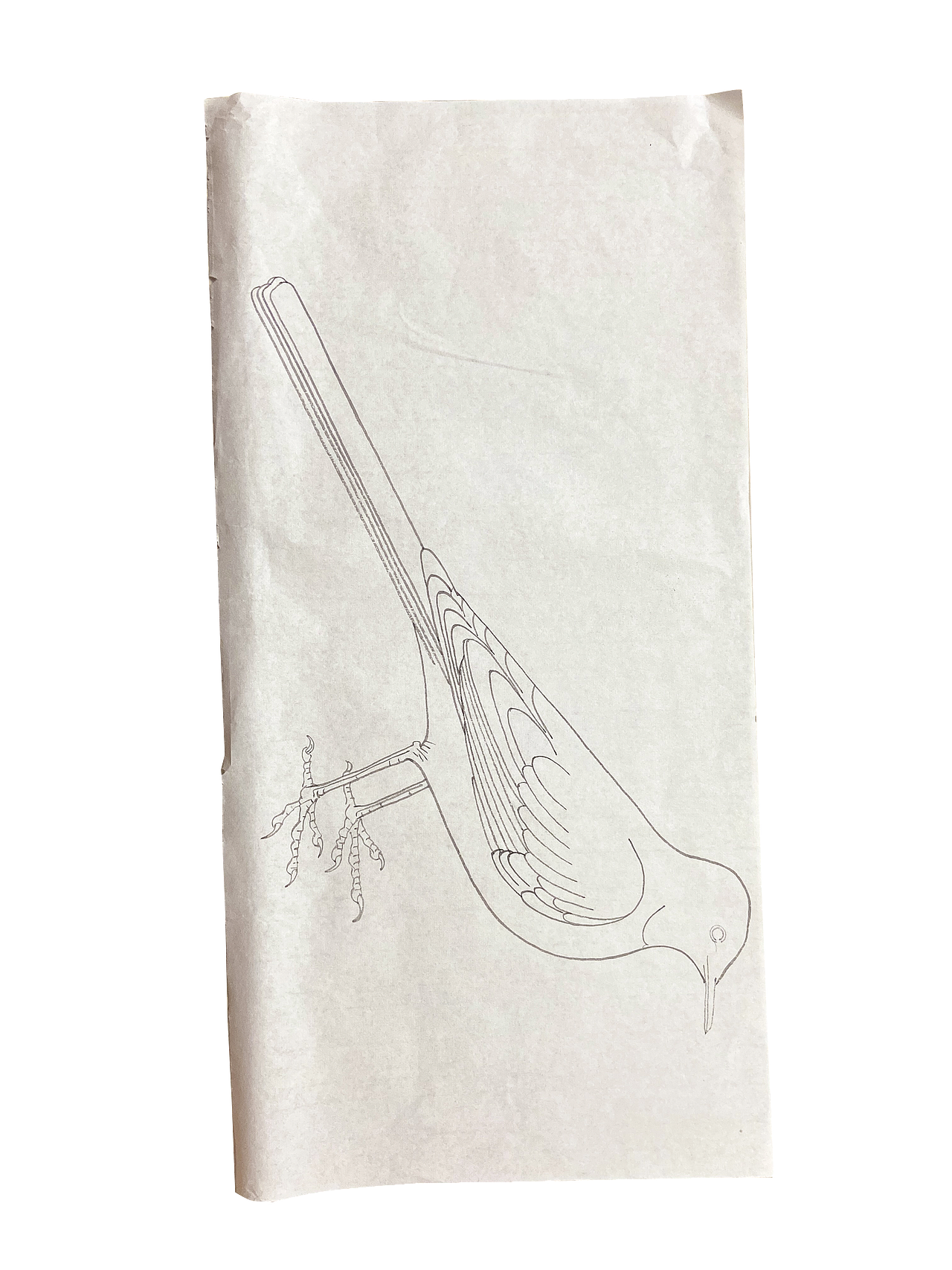 从颤抖的铅笔轨迹到流畅的墨韵流淌（图ZMzk4NzQ3MjQ4） - 绘画 - 站酷设计师shuiwun原创素材 - 站酷ZCOOL