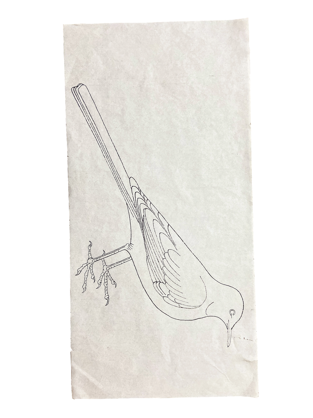 从颤抖的铅笔轨迹到流畅的墨韵流淌（图ZMzk4NzQ3MzEy） - 绘画 - 站酷设计师shuiwun原创素材 - 站酷ZCOOL