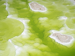 青甘大环线上的风景