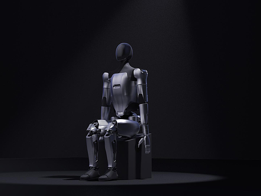 美国muse获奖作品分享