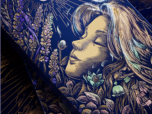 仙子元气 女性口服液包装插画