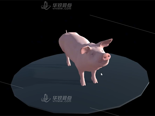 革新教学体验，浅谈深圳华锐视点猪瘟ELISA检测VR虚拟仿真实验的优势