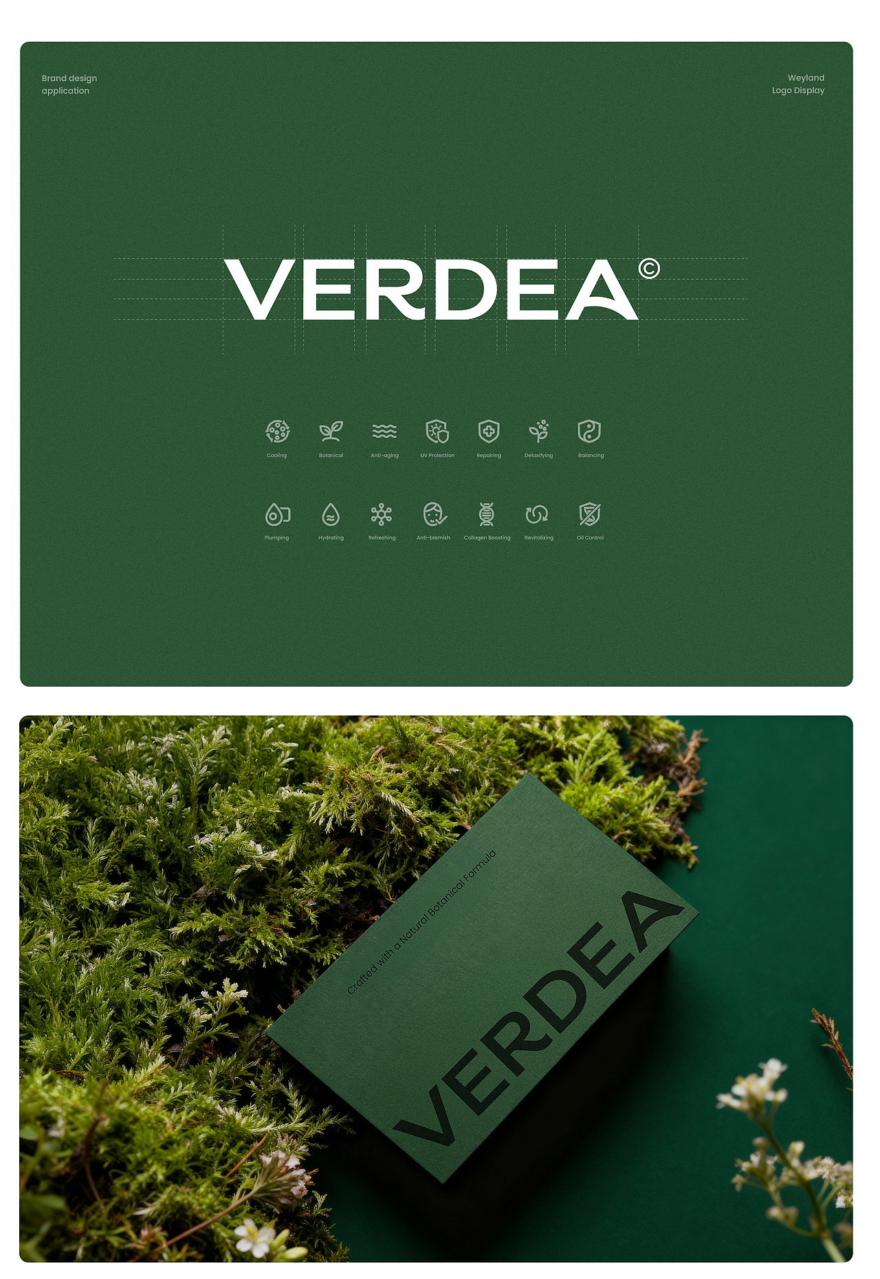 AICG教程丨VERDEA品牌VI丨官网设计丨100%AI制作