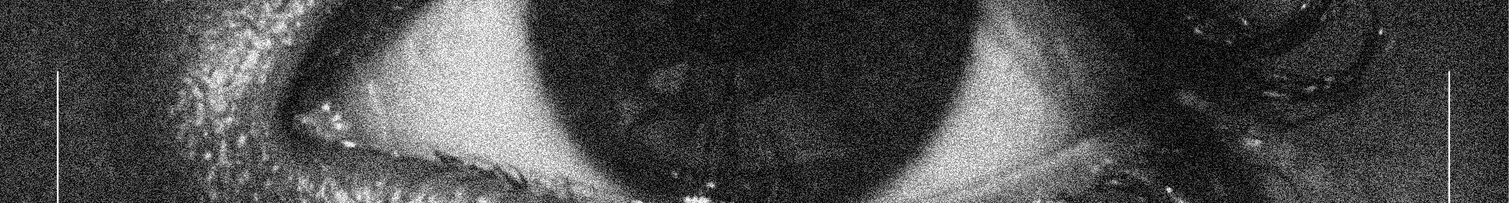 YesCreation的個人主頁（封面預覽） - 主頁封面設(shè)置 - 站酷設(shè)計師YesCreation原創(chuàng)素材 - 站酷ZCOOL