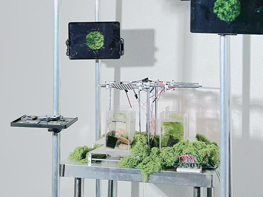 交互装置 | ECOLUMINATE