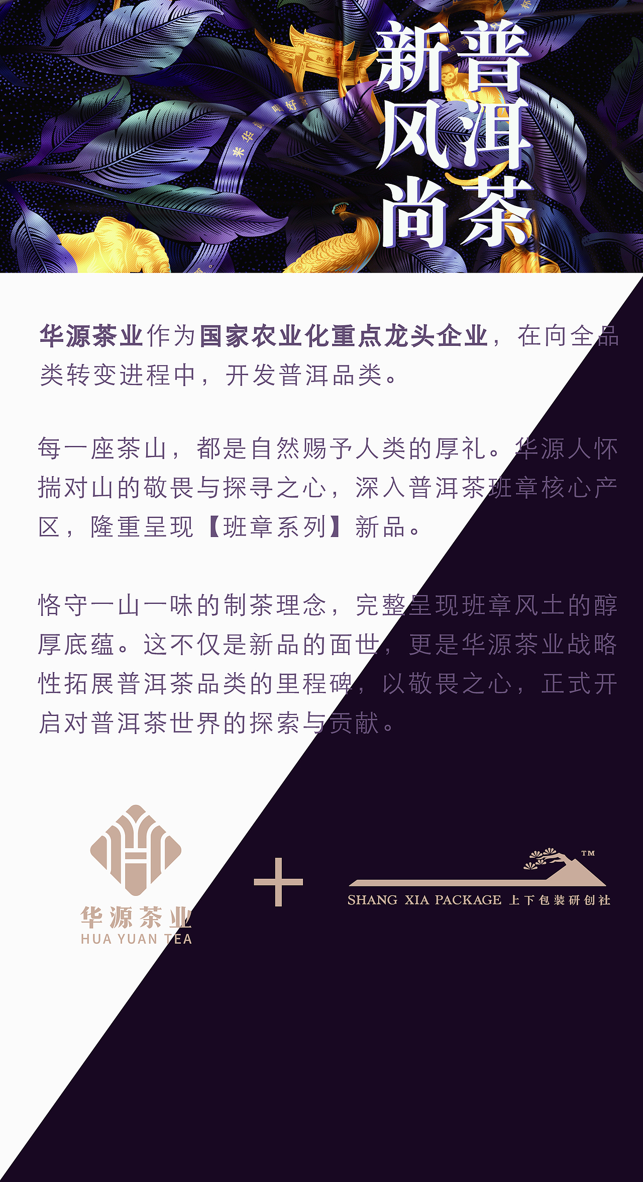 普洱茶,新风尚!-----茶叶包装设计